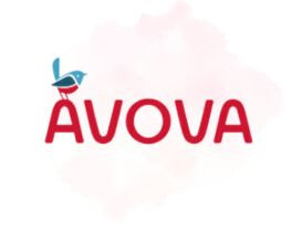 Avova Buggy City Ranger