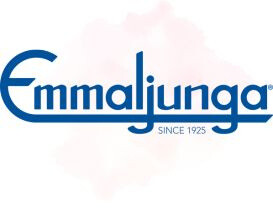 Emmaljunga Kinderwagen und Zubehör
