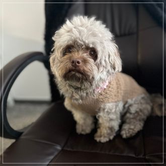 Der Babyladen Erlangen Holly