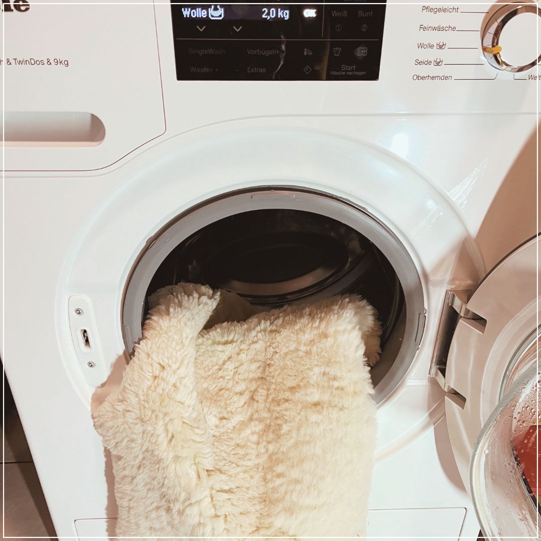Lammfell waschen 1