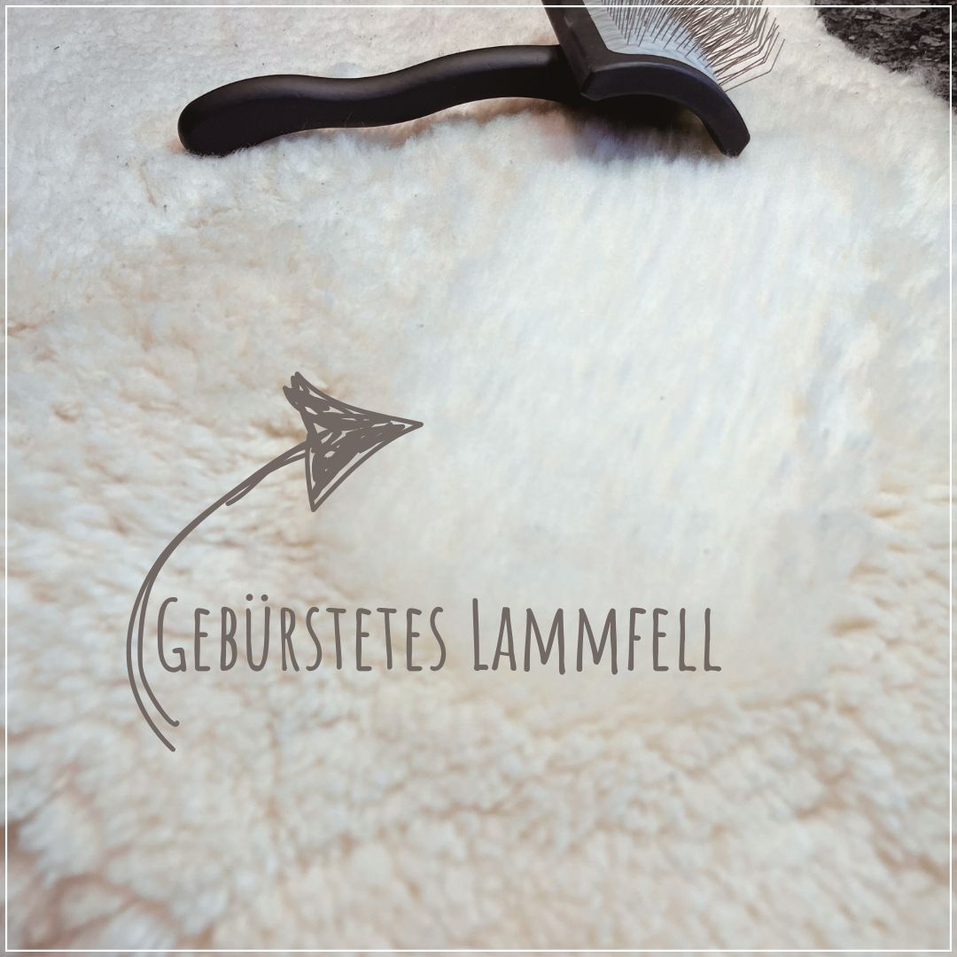 Lammfell waschen 1